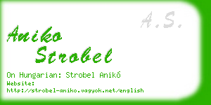 aniko strobel business card